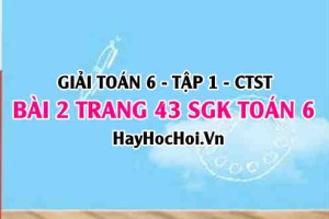 Giải bài 2 trang 43 Toán 6 Tập 1 SGK Chân trời sáng tạo